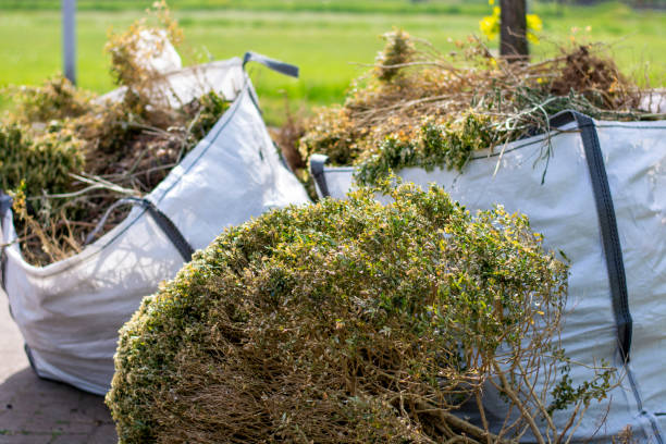 Best Yard Cleanup Services  in Harbor Beach, MI