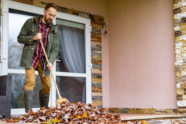 Best Basement Cleanout Services  in Harbor Beach, MI